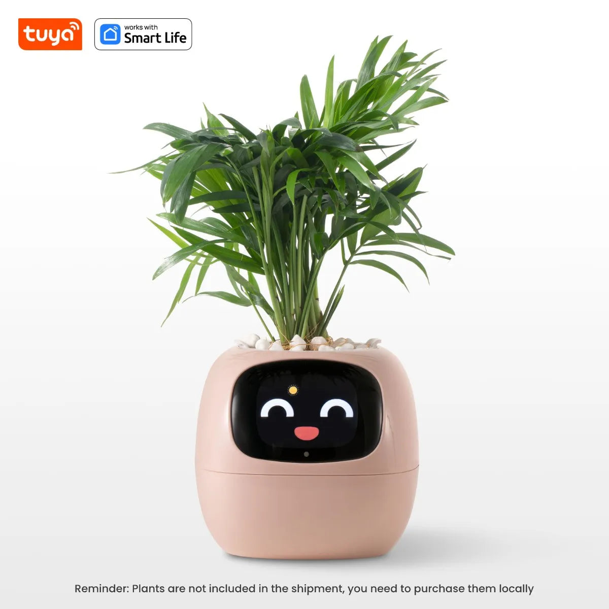 Meet Izzy™ - Your Smart AI Planter