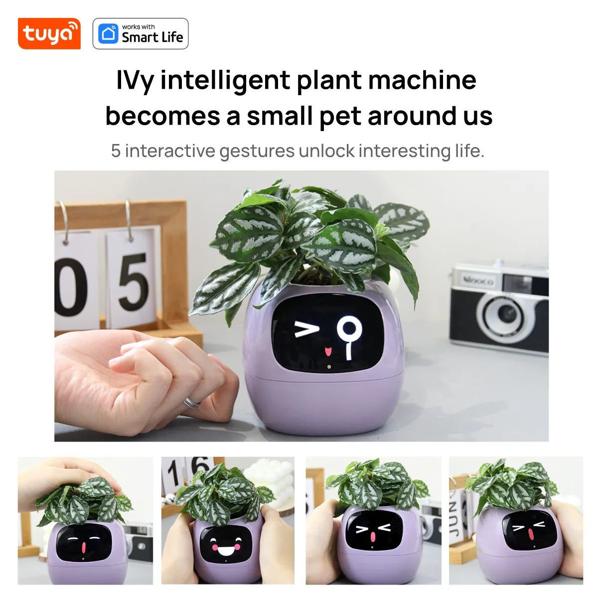 Meet Izzy™ - Your Smart AI Planter