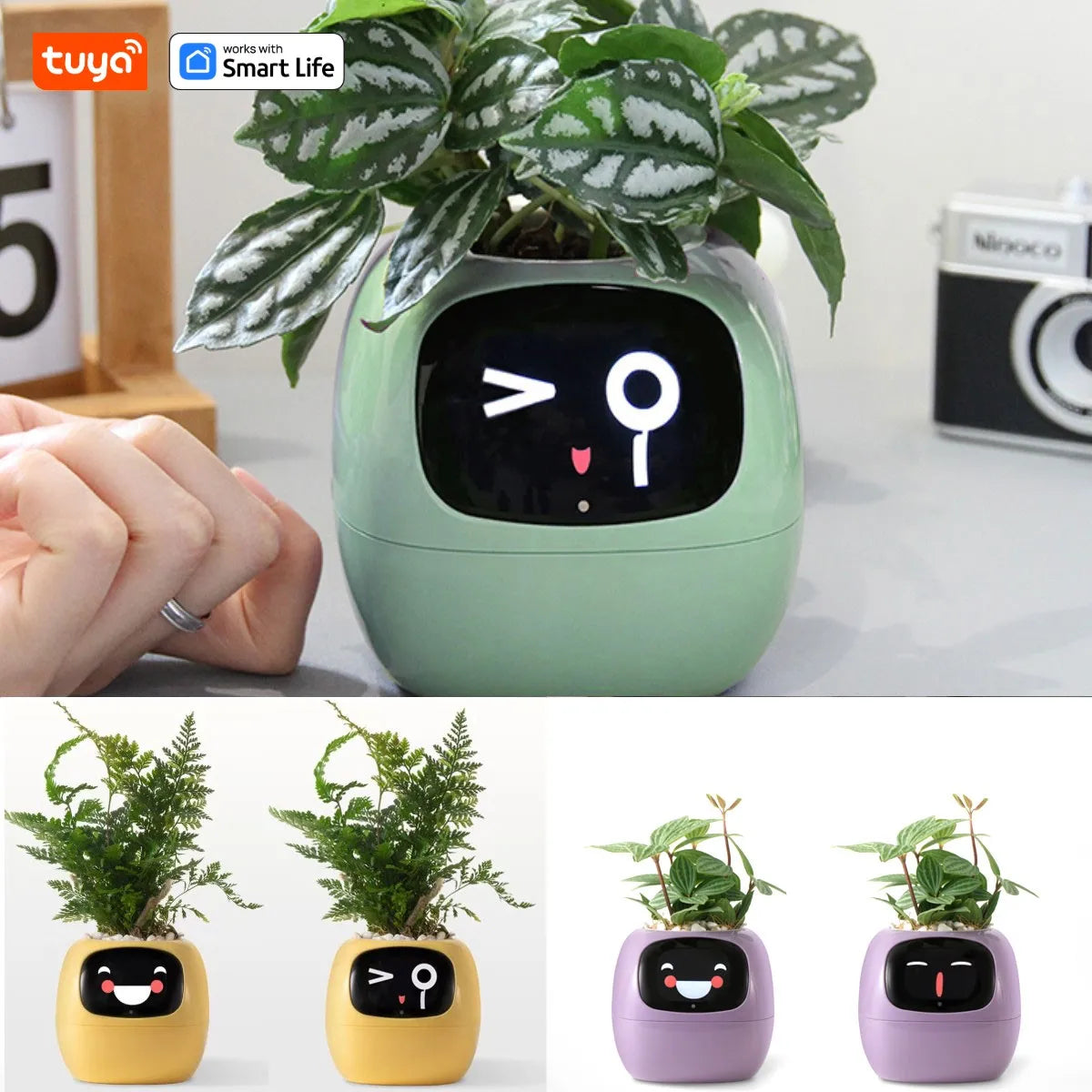 Meet Izzy™ - Your Smart AI Planter